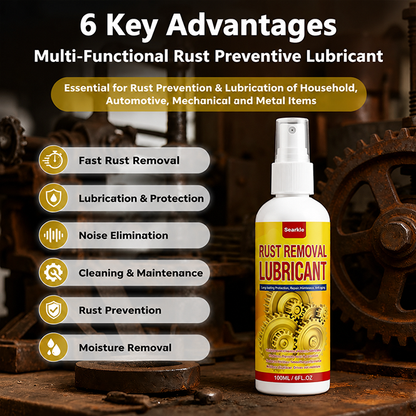 Anti-Rust Lubricant Spray & Rust Remover1