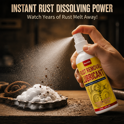 Anti-Rust Lubricant Spray & Rust Remover1