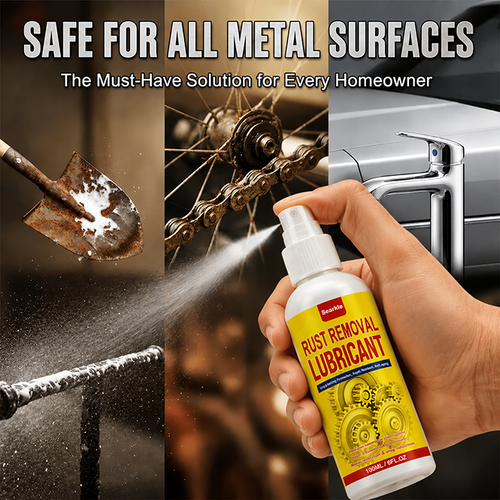 Anti-Rust Lubricant Spray & Rust Remover1