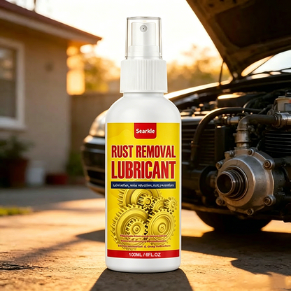 Anti-Rust Lubricant Spray & Rust Remover1